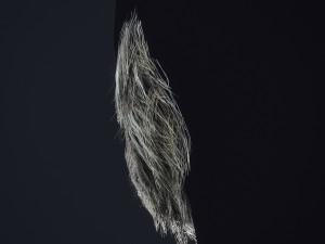 Beard RealTime 1 3D 모델
