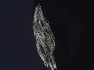 Barbe en temps r&eacute;el 1 Modèle 3D