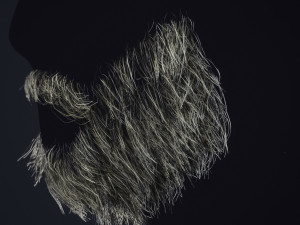 Beard RealTime 1 3D 모델