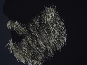Barbe en temps r&eacute;el 1 Modèle 3D