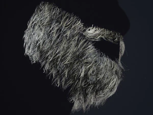Barbe en temps r&eacute;el 1 Modèle 3D