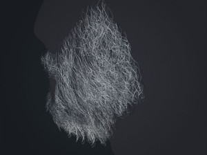 Beard RealTime 1 3D 모델