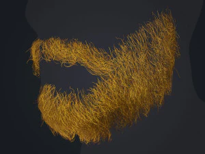 Barbe en temps r&eacute;el 1 Modèle 3D