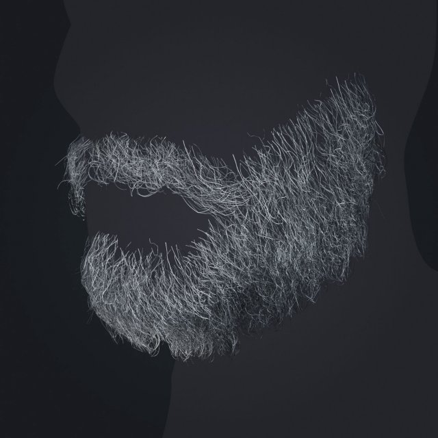 Beard RealTime 1 Version 2 3D Model .c4d .max .obj .3ds .fbx .stl .blend 