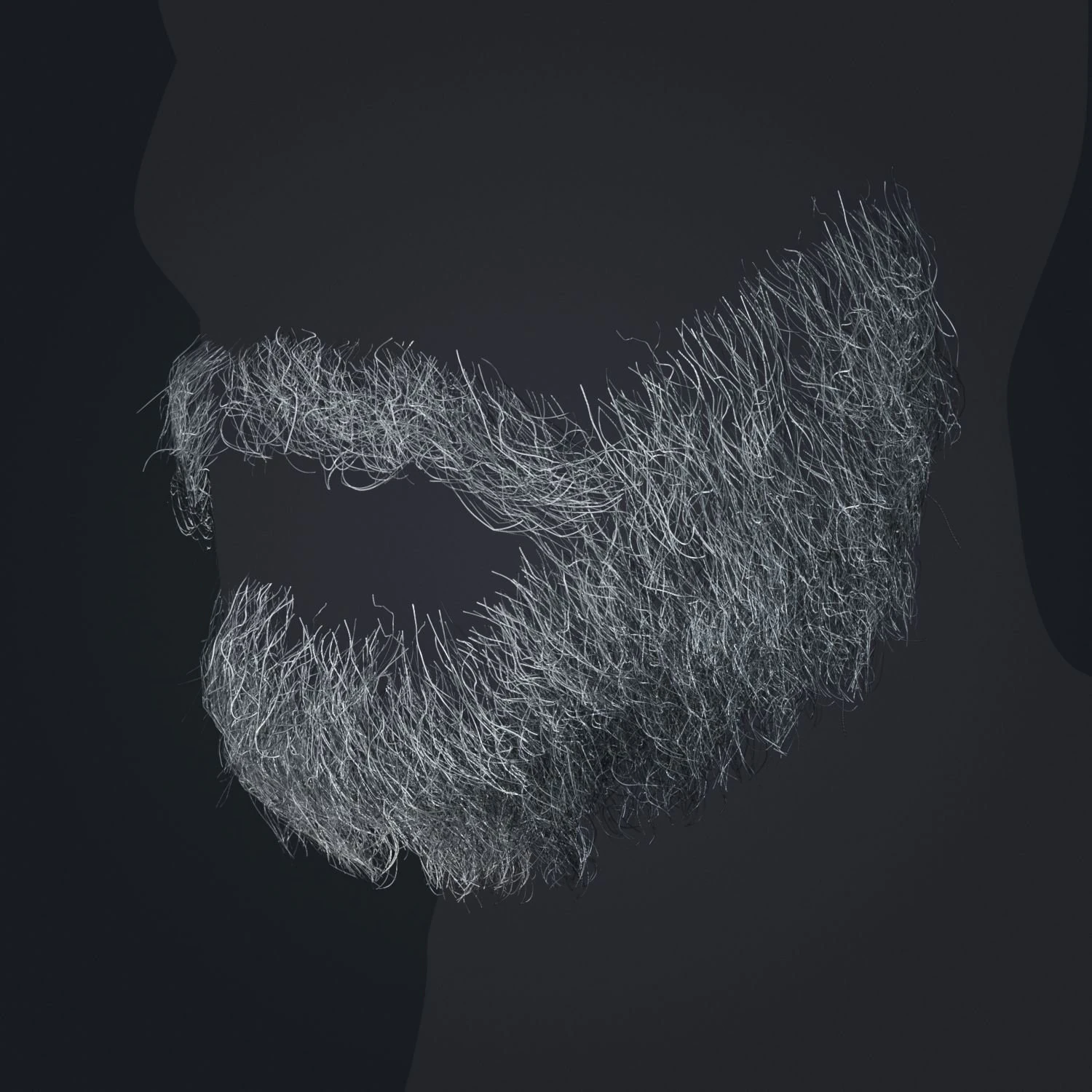 Beard RealTime 1 Version 2 3D Model .c4d .max .obj .3ds .fbx .stl .blend 