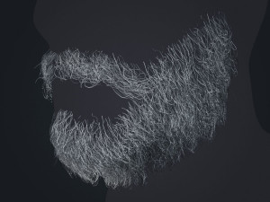 Beard RealTime 1 Version 2 Modèle 3D