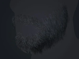 Beard RealTime 1 Version 2 3D Model