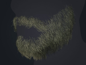 Beard RealTime 1 Version 2 3D Model