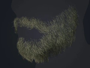 Beard RealTime 1 Version 2 3D Model