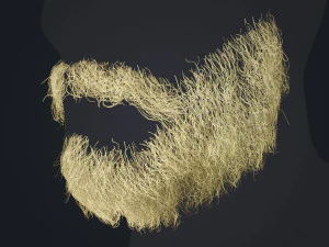 Beard RealTime 1 Version 2 3D Model