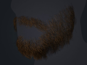 Beard RealTime 1 Version 2 3D Model