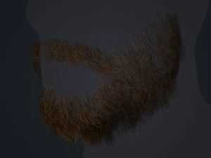 Beard RealTime 1 Version 2 3D Model