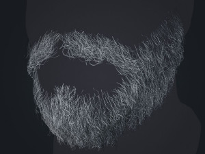 Beard RealTime 1 Version 2 3D Model