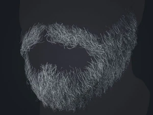 Beard RealTime 1 Version 2 3D Model