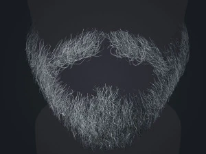 Beard RealTime 1 Version 2 3D Model