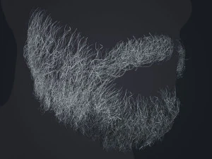 Beard RealTime 1 Version 2 3D Model