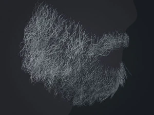 Beard RealTime 1 Version 2 3D Model