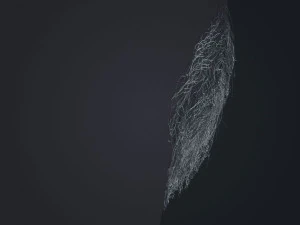 Beard RealTime 1 Version 2 3D Model