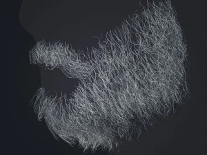 Beard RealTime 1 Version 2 3D Model