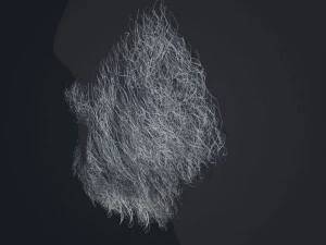 Beard RealTime 1 Version 2 3D Model