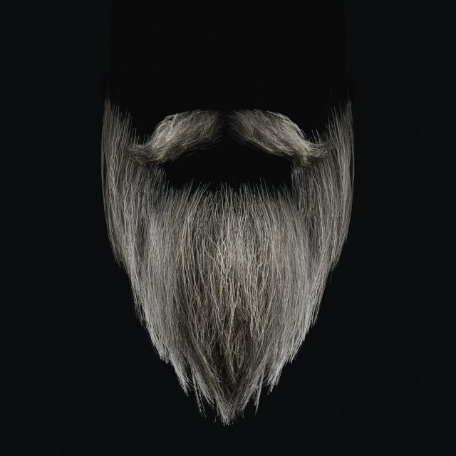 Beard RealTime 2 3D 模型 .c4d .max .obj .3ds .fbx .stl .blend 