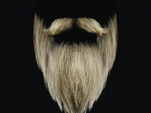 Beard RealTime 2 3D Model