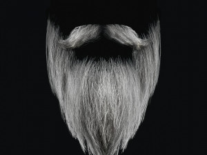 Beard RealTime 2 3D 模型