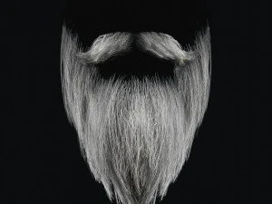 Beard RealTime 2 3D Model