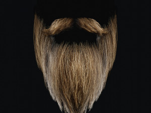 Beard RealTime 2 3D 模型