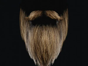 Beard RealTime 2 3D Model