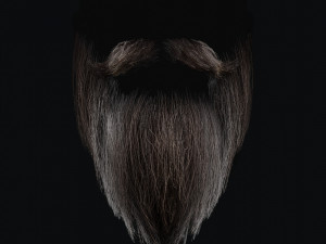 Beard RealTime 2 3D 模型