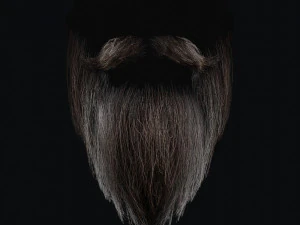 Beard RealTime 2 3D Model