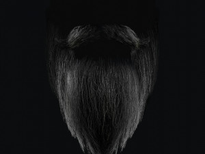 Beard RealTime 2 3D 模型