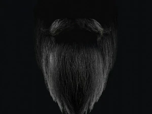 Beard RealTime 2 3D Model