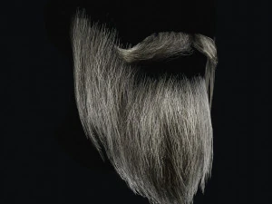 Beard RealTime 2 3D Model