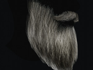 Beard RealTime 2 3D 模型