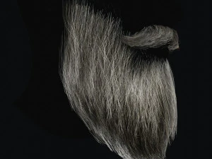 Beard RealTime 2 3D Model