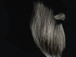 Beard RealTime 2 3D 模型