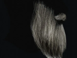 Beard RealTime 2 3D Model