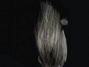 Beard RealTime 2 3D 模型