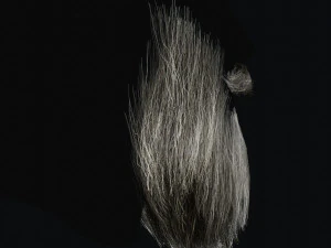 Beard RealTime 2 3D Model