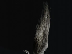 Beard RealTime 2 3D Model