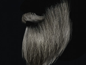 Beard RealTime 2 3D 模型
