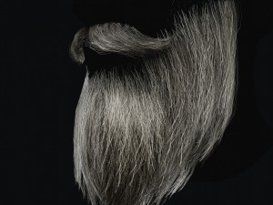 Beard RealTime 2 3D 模型