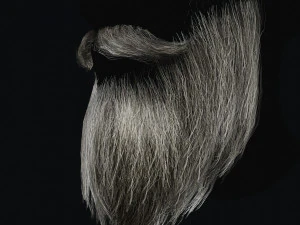Beard RealTime 2 3D Model