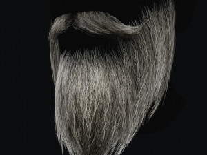 Beard RealTime 2 3D 模型