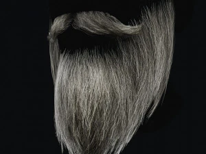 Beard RealTime 2 3D Model