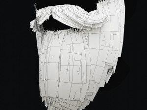 Beard RealTime 2 3D 模型