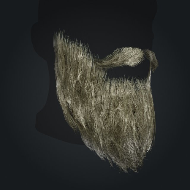 Beard RealTime 2 Version 2 Modèle 3D .c4d .max .obj .3ds .fbx .stl .blend 