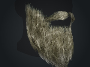 Beard RealTime 2 Version 2 Modèle 3D